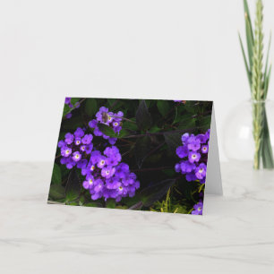Purple Trailing Lantana #1 Card