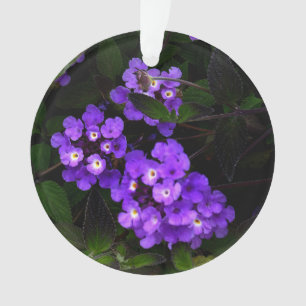 Purple Trailing Lantana #1 Ornament