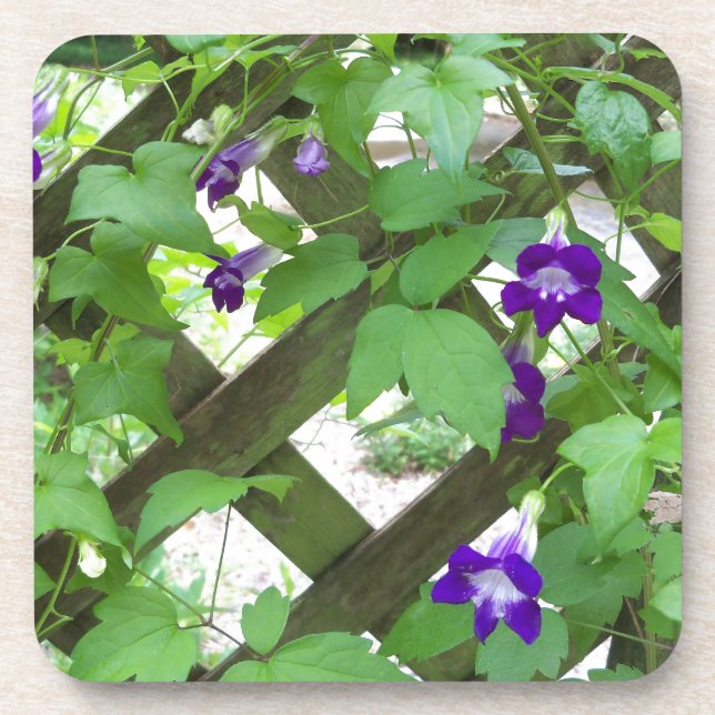 purple trailing snap dragons coaster (Front)