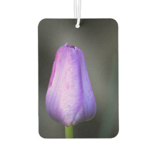 Purple Tulip Bud Air Freshener