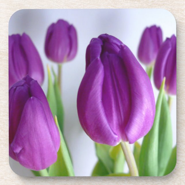 Purple Tulip Coaster (Front)