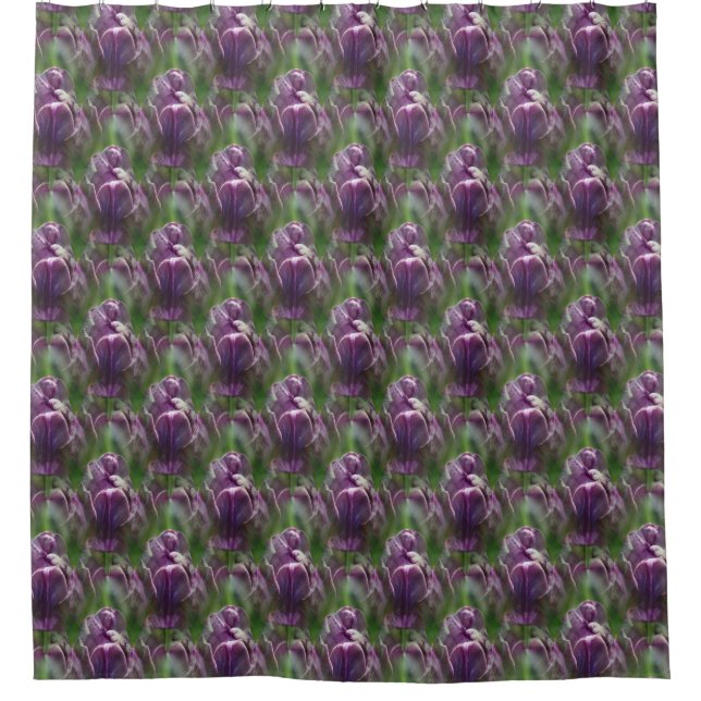 Purple Tulip Flower Nature Pattern  (Front)