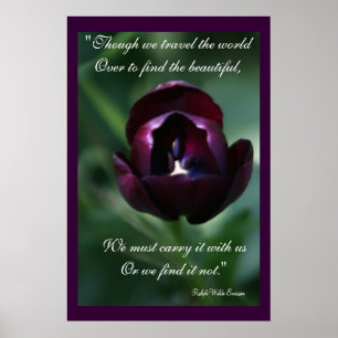 Purple Tulip Inspirational Poster