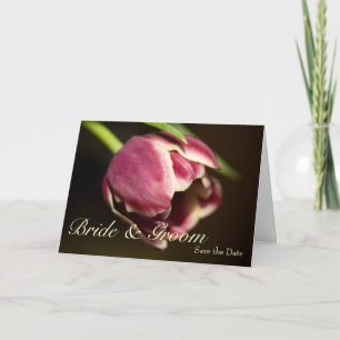 Purple Tulip • Save the Date Card