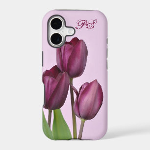 Purple tulips