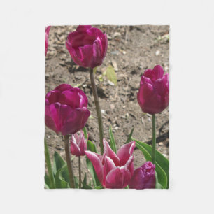 Purple Tulips blanket