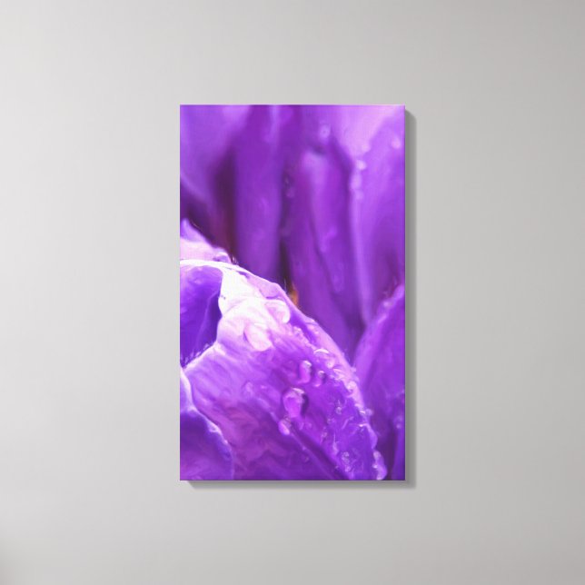 Purple Tulips Canvas Print (Front)