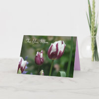 Purple Tulips Carte de jour de maman