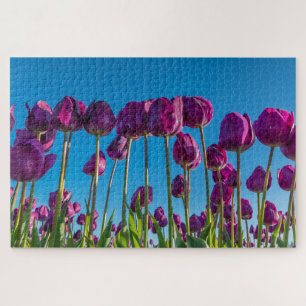 Purple Tulips Jigsaw Puzzle