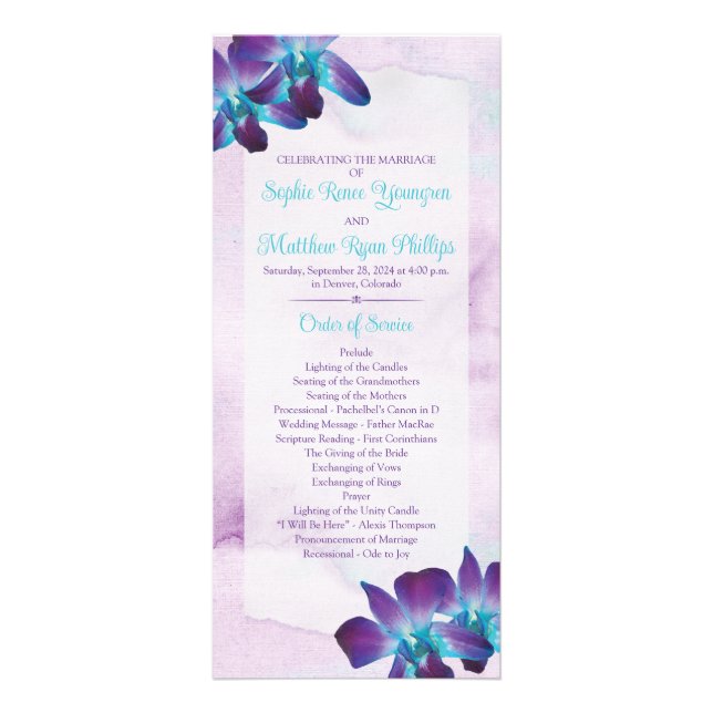 Purple Turquoise Bleu Dendrobium Programme de mari (Devant)