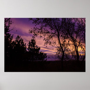Purple Twilight Sky Tree Silhouette  Poster