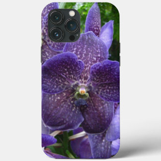 Purple Vanda iPhone 13 Pro Max Coque