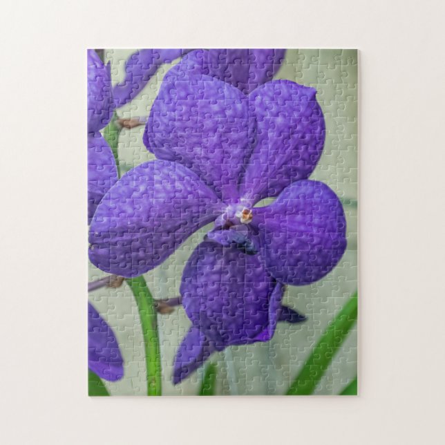Purple vanda orchids puzzle (Vertical)