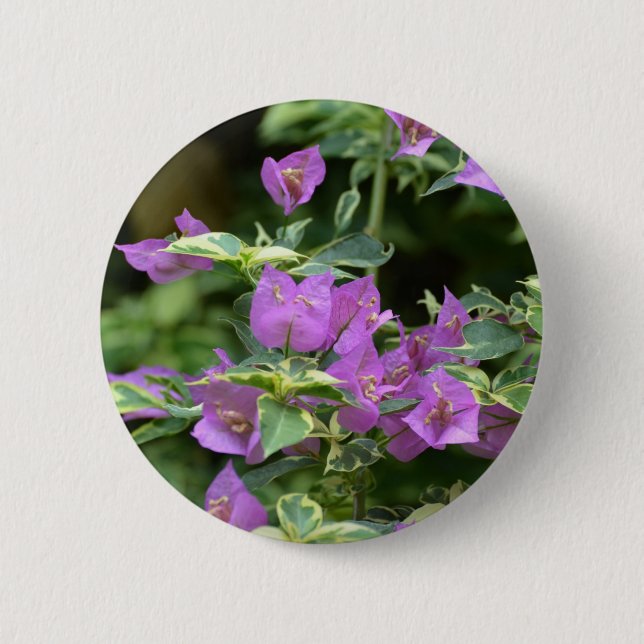 Purple Variegated Crepe and Myrtle 2 Inch Round Button (Front)