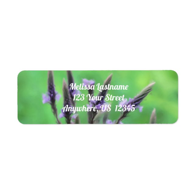 Purple Vervain Fleur sauvage Adresse de peinture (Devant)