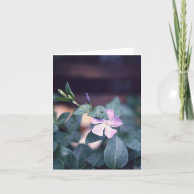 Purple Vinca Flower Notecard (Front)