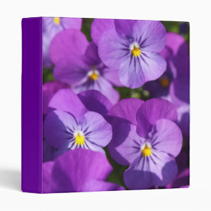 Purple Viola Binder