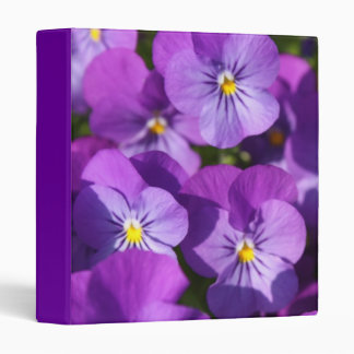Purple Viola Binder