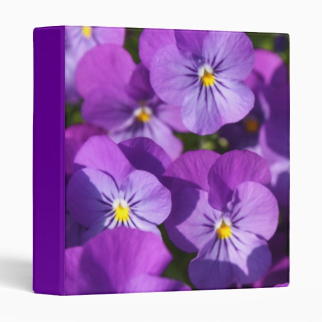 Purple Viola Binder (Front/Spine)