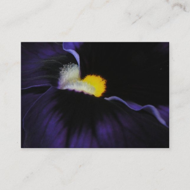 Purple Viola Macro ATC 1 Business Card (Front)