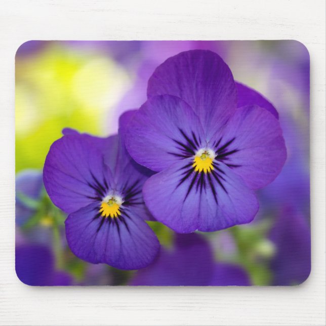 Purple Violas Mouse Pad (Front)