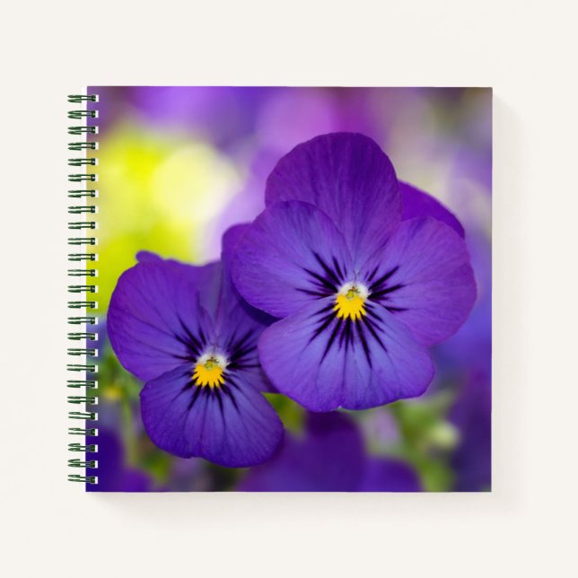 Purple Violas Notebook (Front)