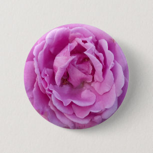 Purple Violet Flower Rose 2 Inch Round Button