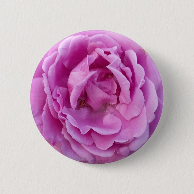 Purple Violet Flower Rose 2 Inch Round Button (Front)