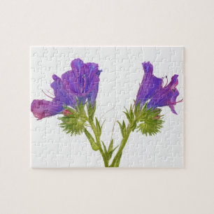 Purple vipers bugloss (echium plantagineum) jigsaw puzzle