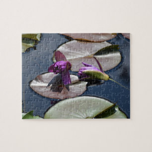 Purple Water Lilies Puzzle