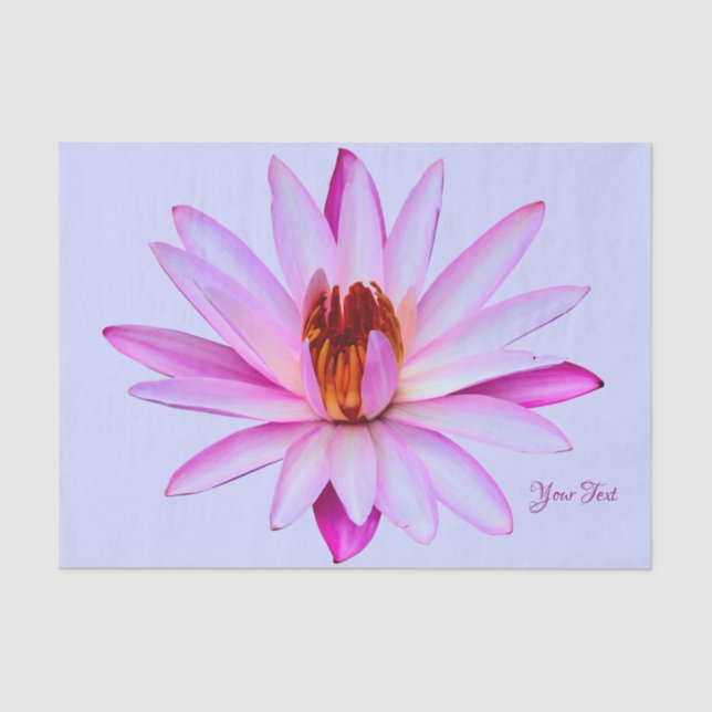 Purple Water Lily Blue Tissue Paper Gift Wrap (Front)