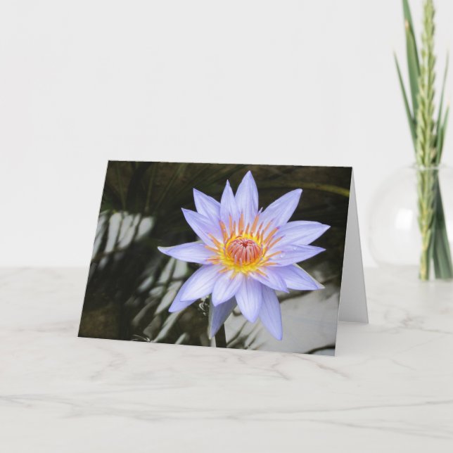 Purple Water Lily Greeting Card (Front)