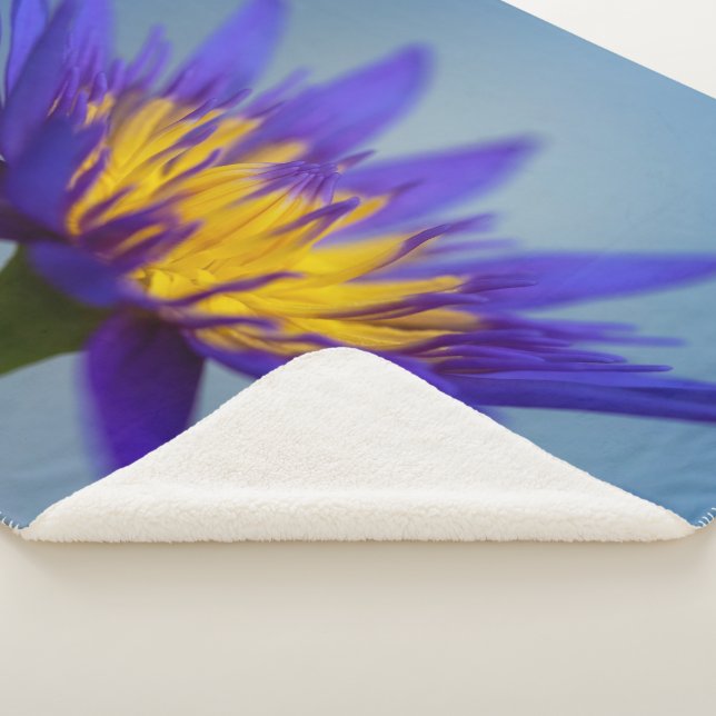 Purple Water Lily Sherpa Blanket (3/4)