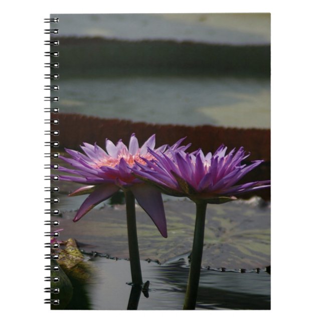 Purple Waterlilies Lotus Notebook (Front)