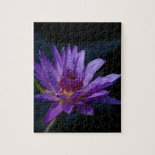 Purple Waterlily Jigsaw Puzzle