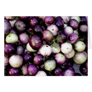 Purple & White Asian Eggplants