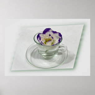 Purple white flower in a cup poster