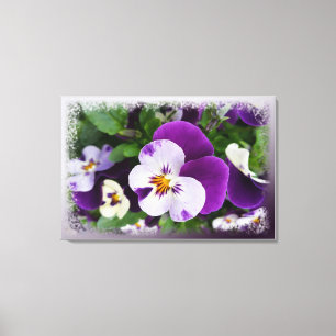 Purple white pansies canvas print