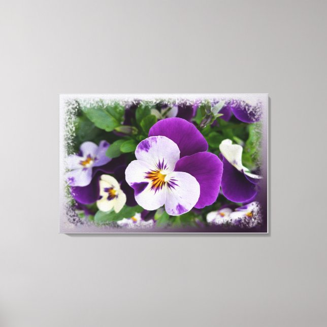 Purple white pansies canvas print (Front)