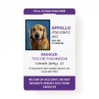 Purple White Service Dog Photo ID