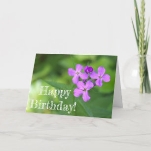 Purple Wildflower Birthday Card
