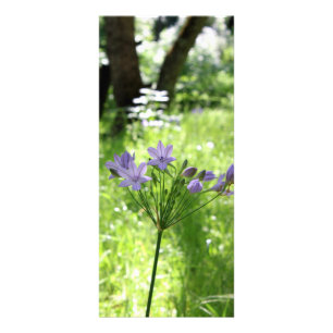 Purple Wildflower Rack Card