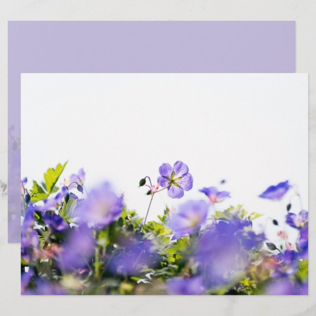 Purple Wildflower Two-Sided Scrapbook Paper (Front/Back)