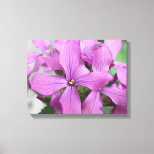 Purple Wildflowers Canvas Print