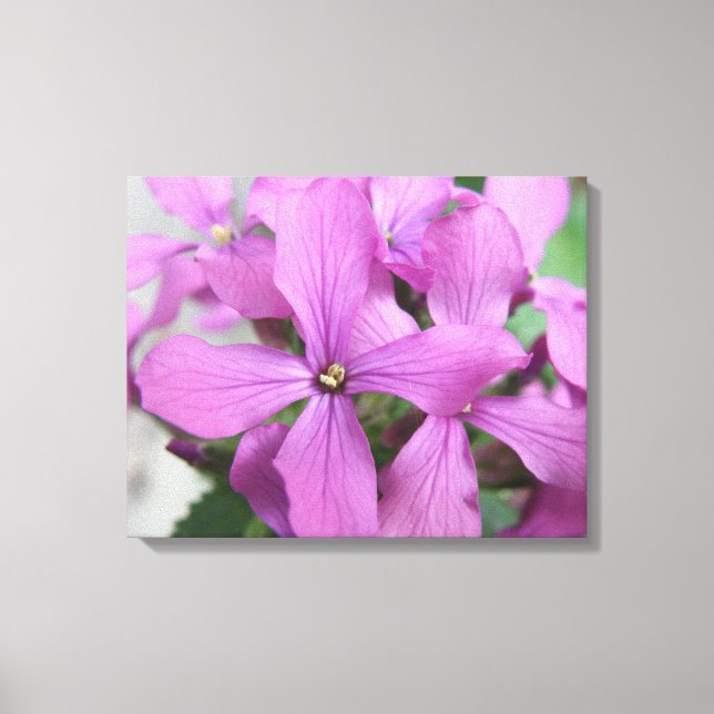 Purple Wildflowers Canvas Print (Front)