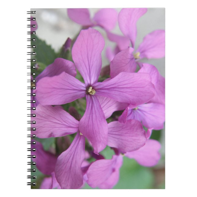 Purple Wildflowers Notebook (Front)
