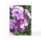 Purple Wildflowers Thinking of You