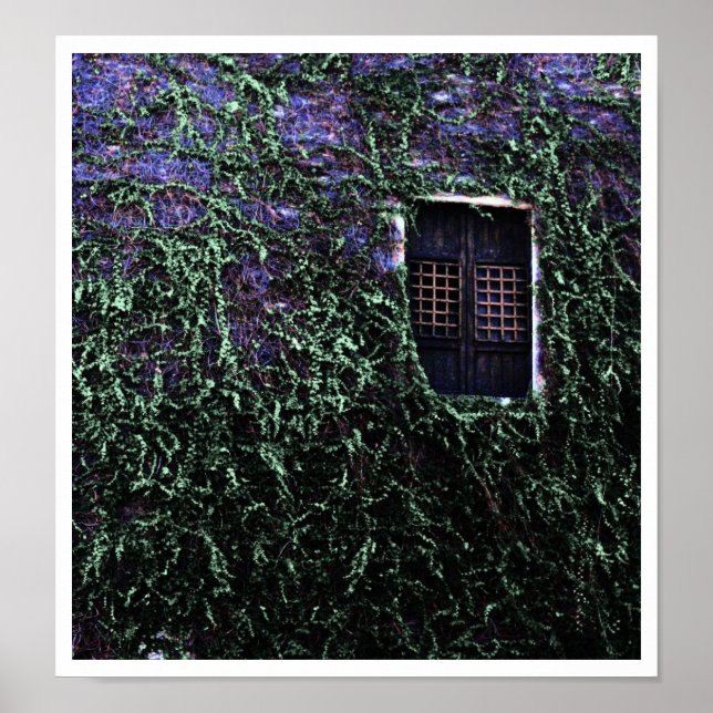 Purple Window ~ Poster / Print (Front)