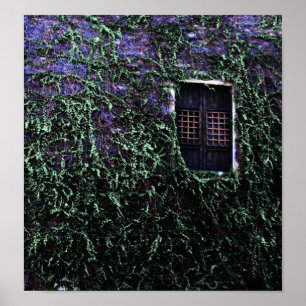 Purple Window ~ Poster / Print