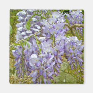 Purple Wisteria Coordinating Items Magnet